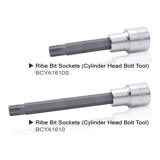 Ribe Bit Sockets (Cylinder Head Bolt Tool)